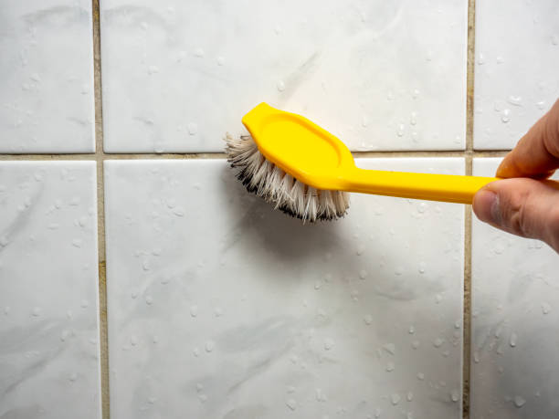 Best Affordable Mold Removal  in Loudon, TN