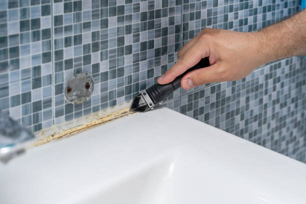 Best Office Mold Removal Services  in Loudon, TN